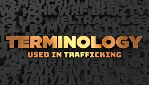 Terminology Used in Sex Trafficking